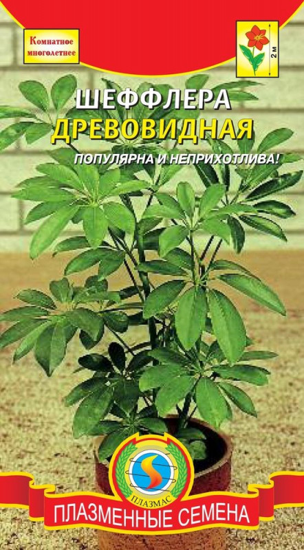 Шеффлера
