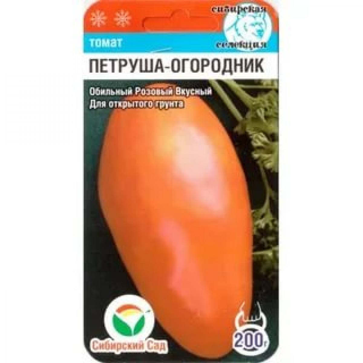 Томат 