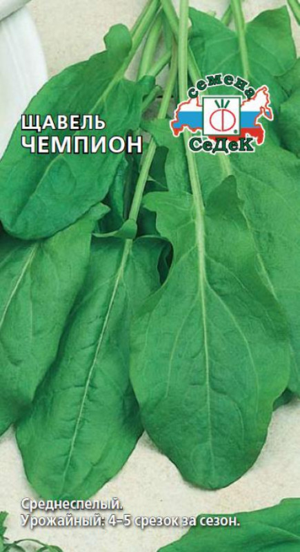 Щавель