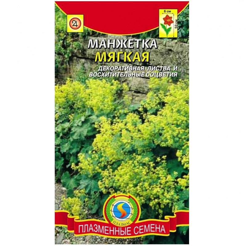 Манжетка
