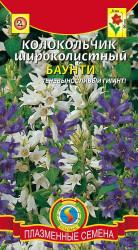 Колокольчик широколистный 